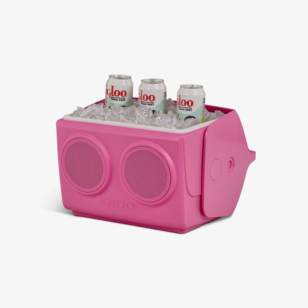 Igloo KoolTunes®