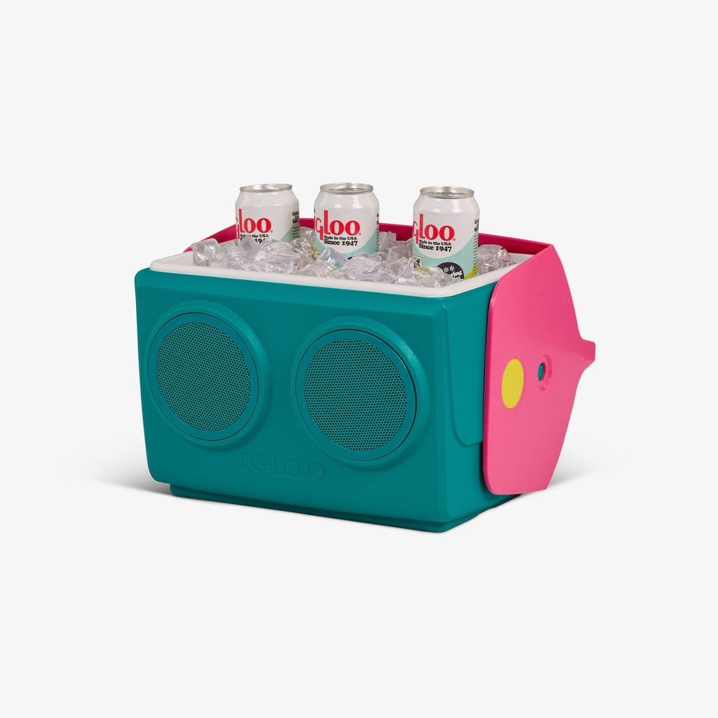 Igloo KoolTunes®