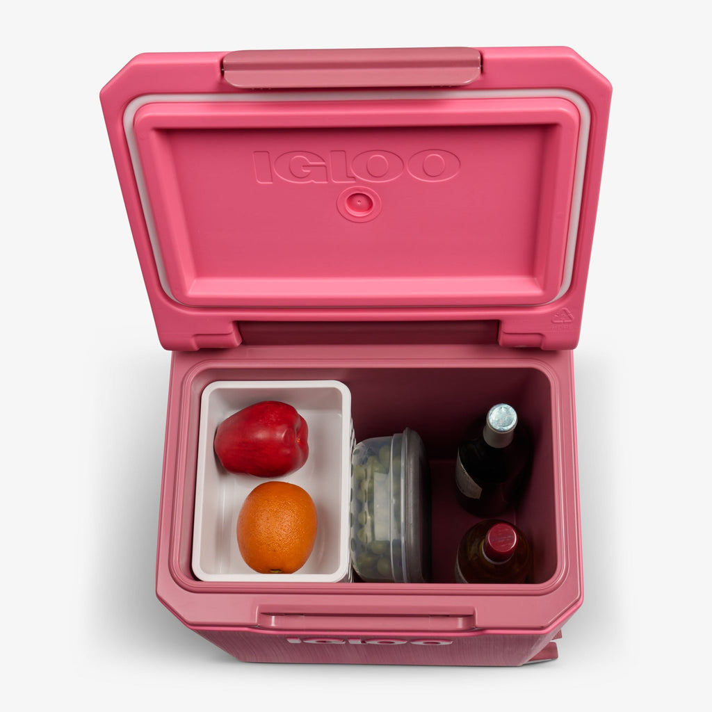 Igloo Tag Along Too Spinner Cooler