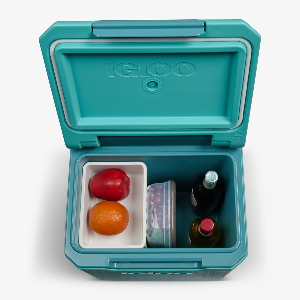 Igloo Tag Along Too Spinner Cooler