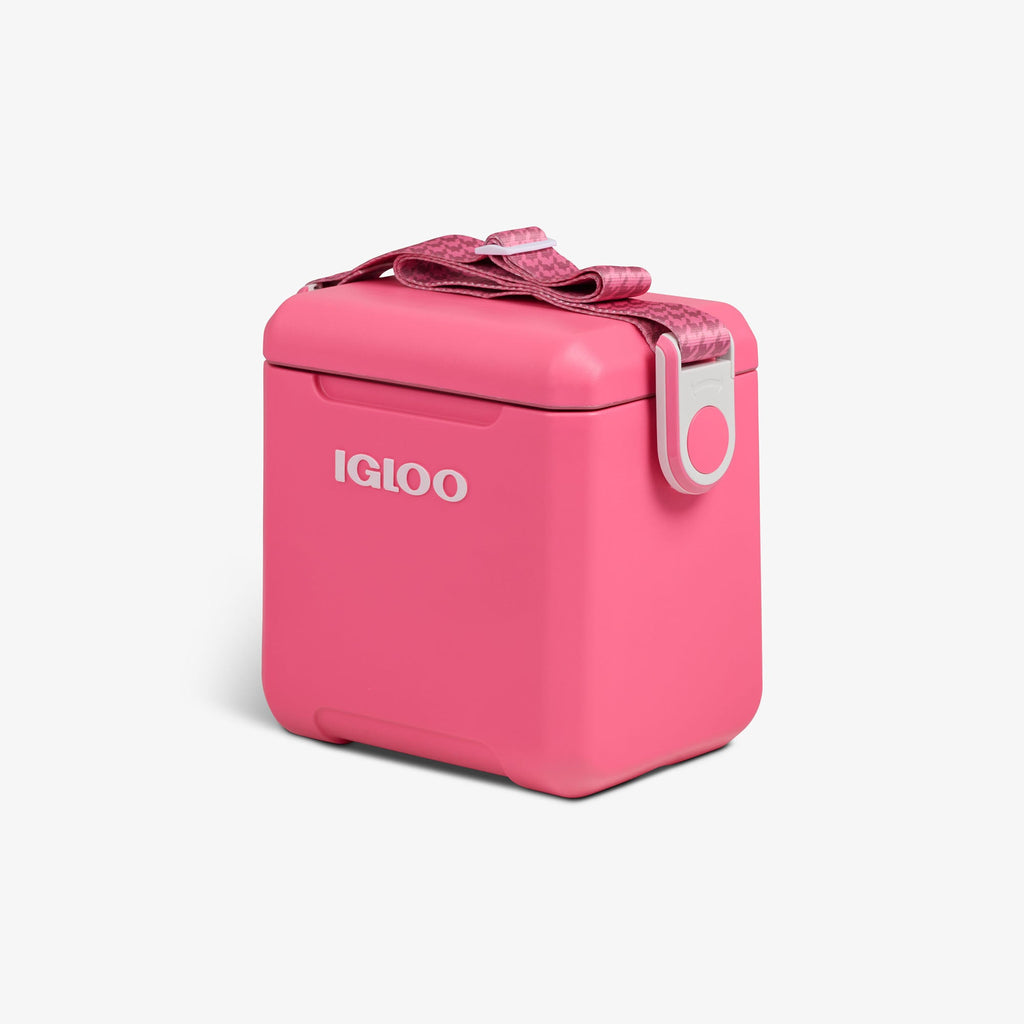 Igloo Tag Along Too Remix Cooler