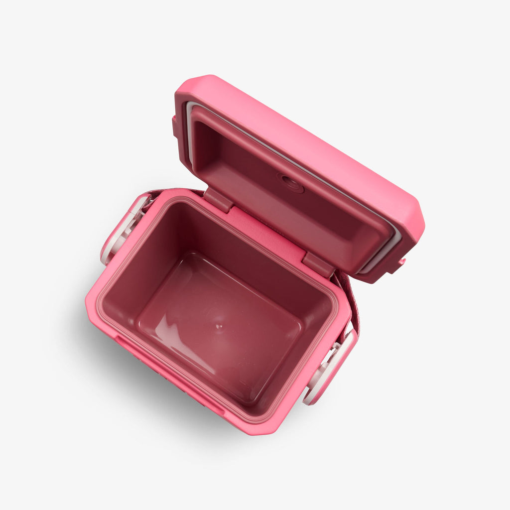 Igloo Tag Along Too Remix Cooler