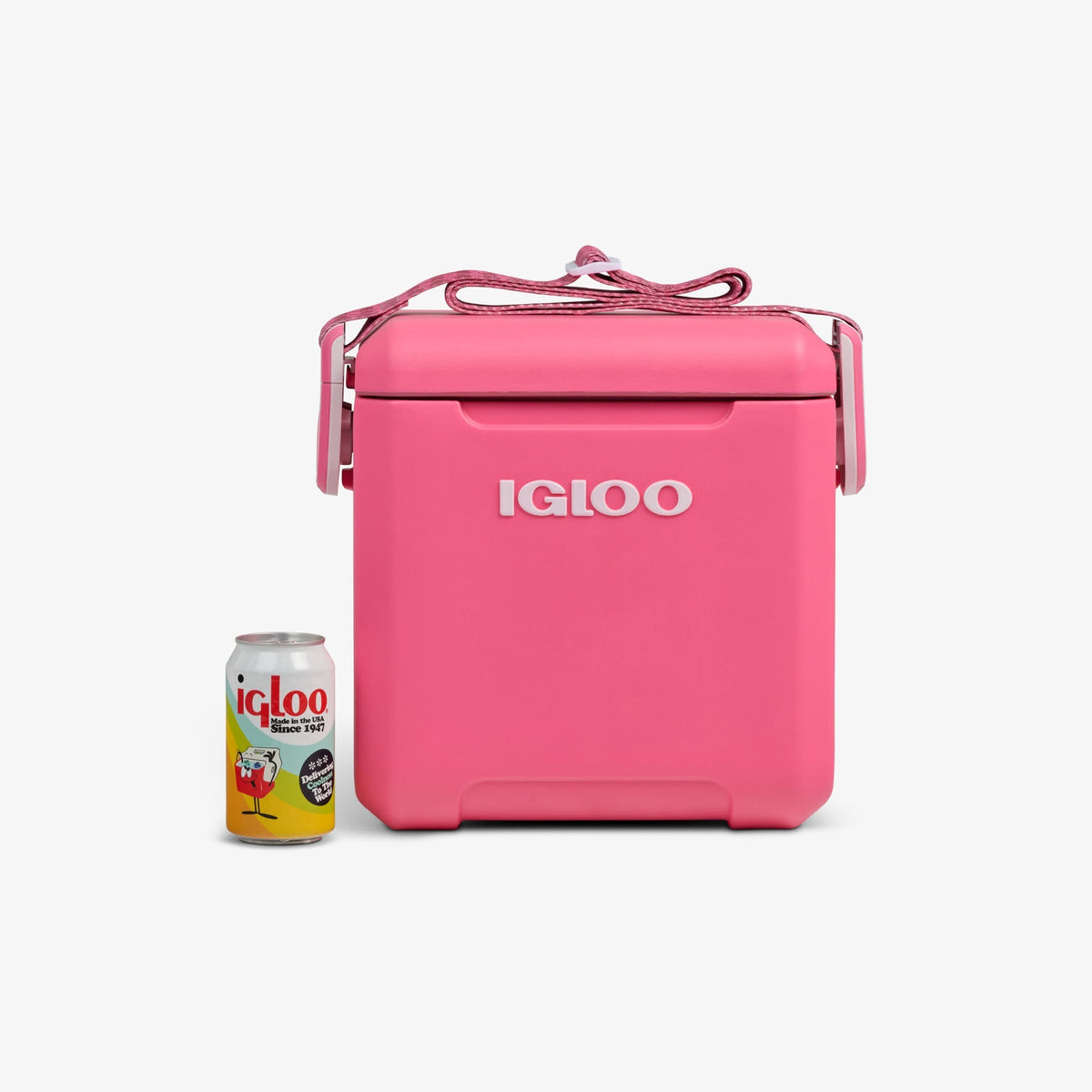 Igloo Tag Along Too Remix Cooler