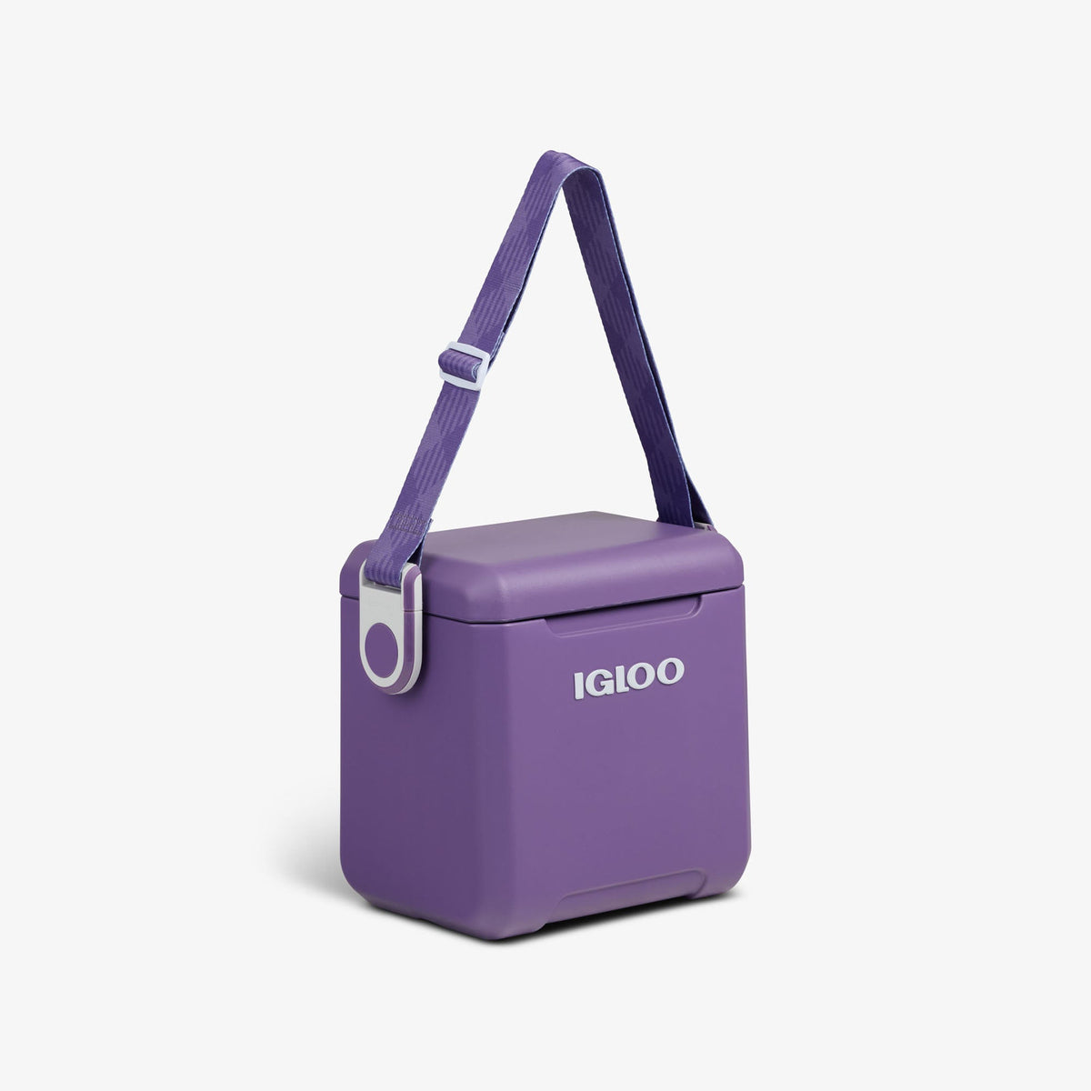 Igloo Tag Along Too Remix Cooler