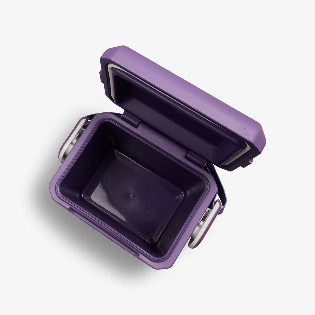 Igloo Tag Along Too Remix Cooler