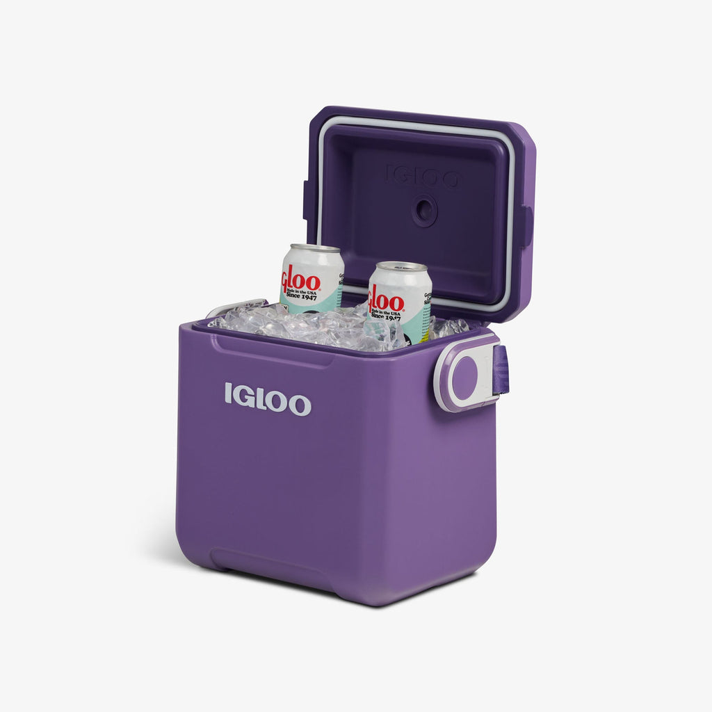 Igloo Tag Along Too Remix Cooler