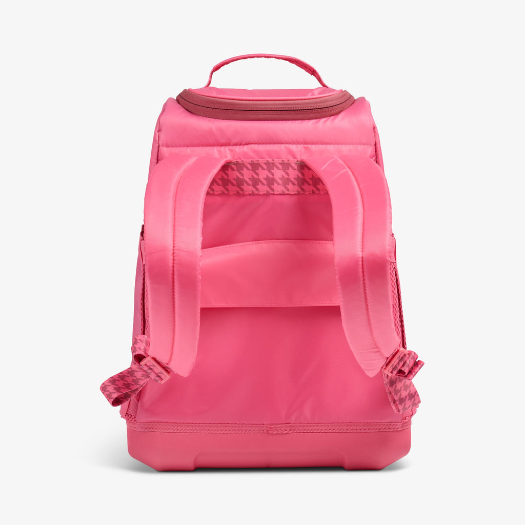 Igloo Tag Along Too 30-Can Backpack