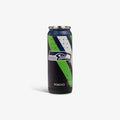 Igloo NFL 16 Oz Can
