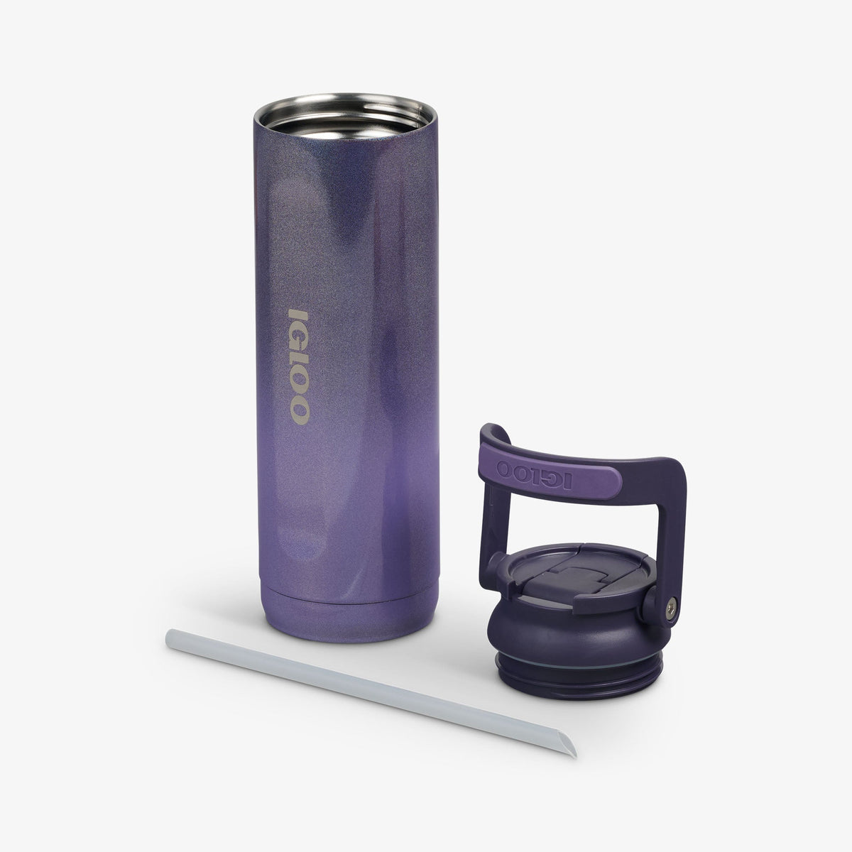 Igloo 20 Oz Sport Sipper Bottle