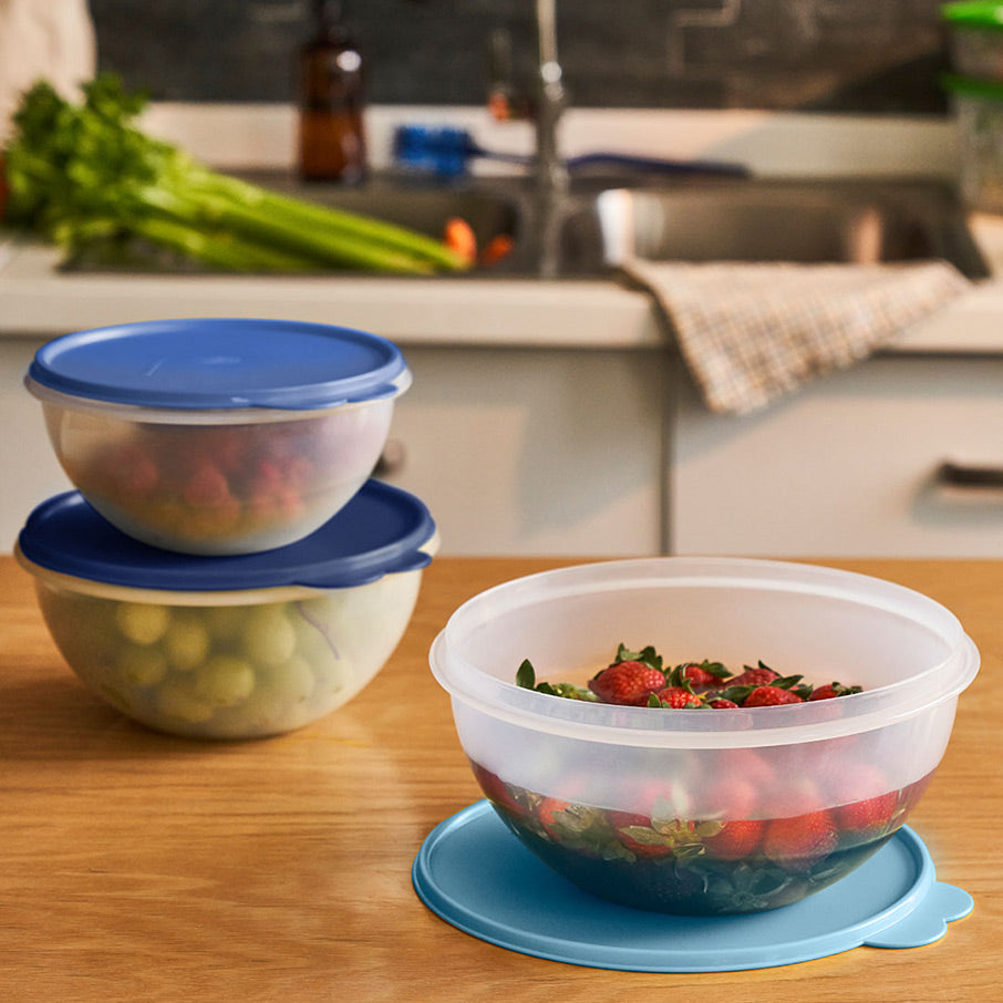 Tupper Ware Wonderlier® Bowl | 3-piece Set