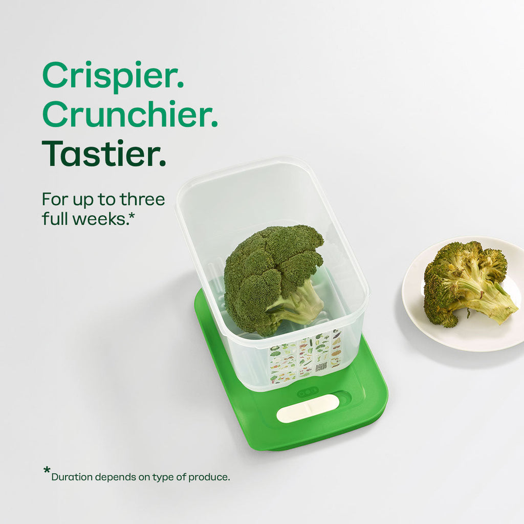 Tupper Ware Tupperware® FridgeSmart® Medium Deep | Produce Storage Container With Lid