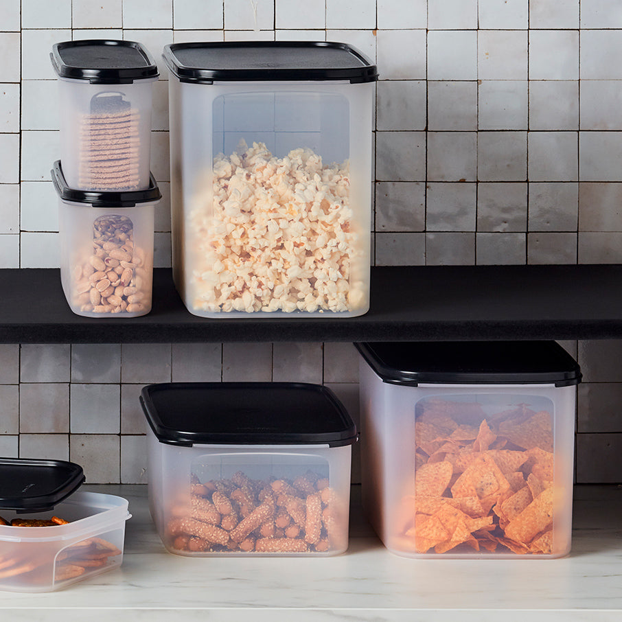 Tupper Ware Tupperware® Modular Mates® Rectangle 2 | Food Container 18-cup / 4.3 L