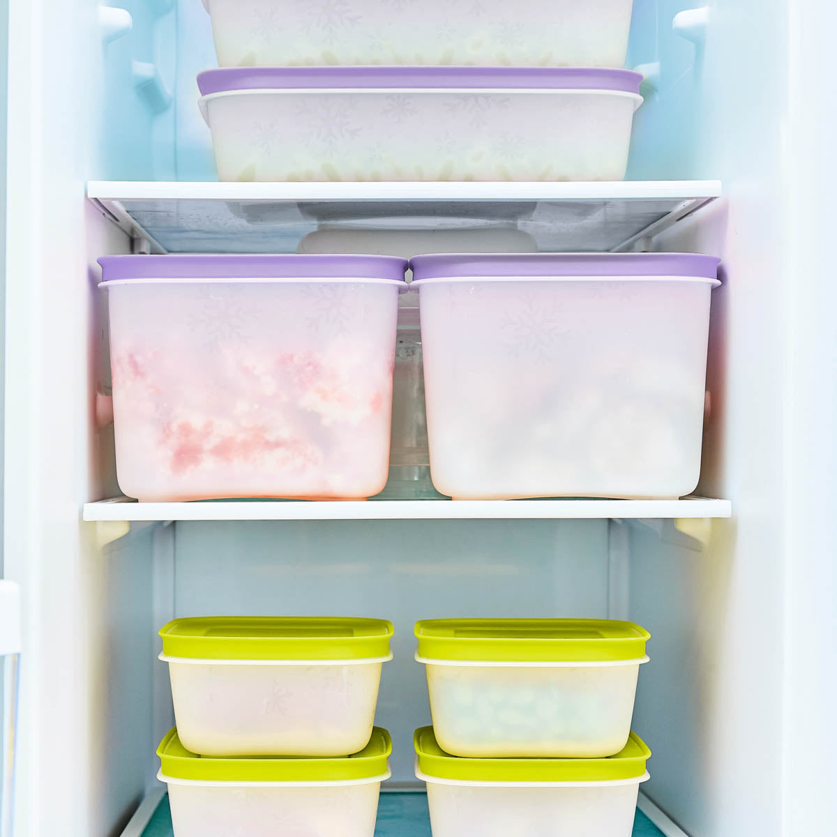 Tupper Ware Freezer Mates® Plus | Starter Set