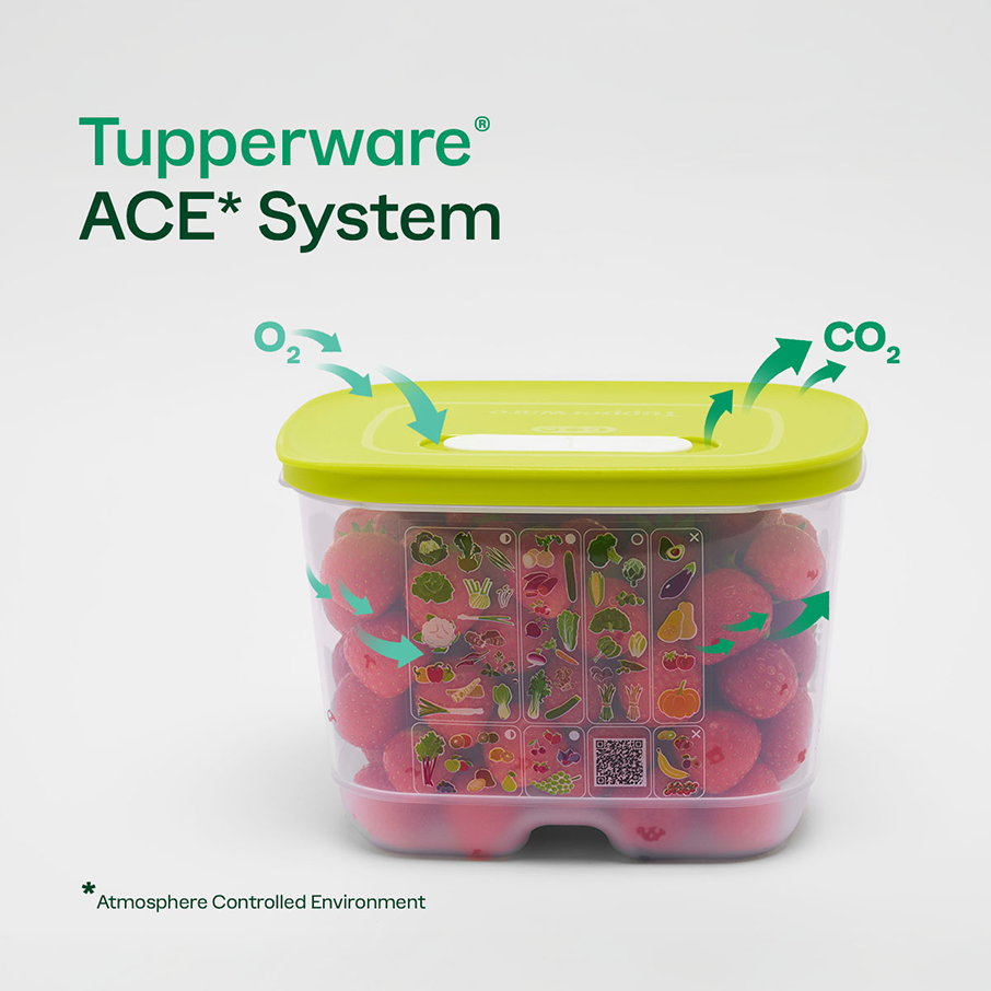 Tupper Ware Tupperware® FridgeSmart® Vertical | Produce Storage Container With Lid