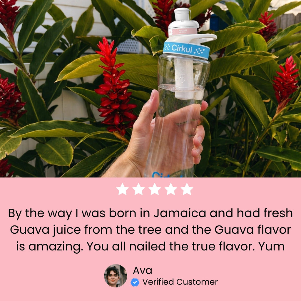 Cirkul Sabrocita Guava