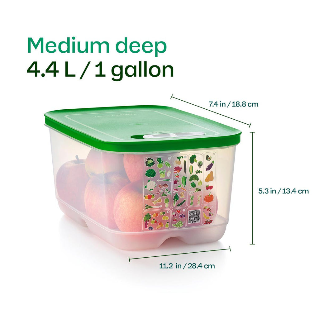 Tupper Ware Tupperware® FridgeSmart® Medium Deep | Produce Storage Container With Lid