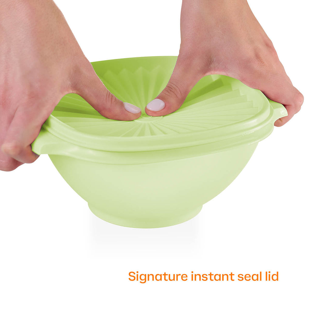 Tupper Ware Servalier® | 32-Piece Set