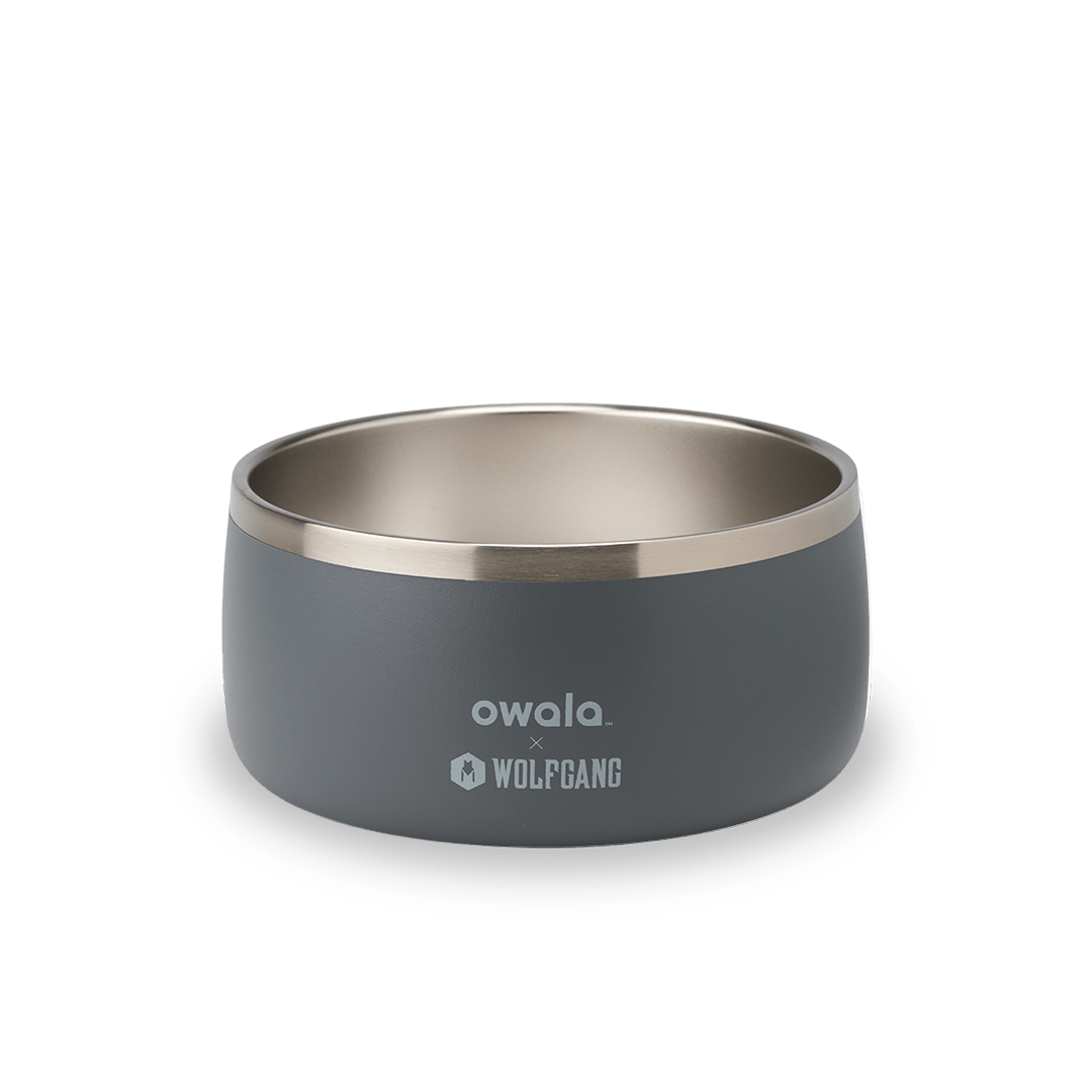 Owala Freesip Pet Bowl