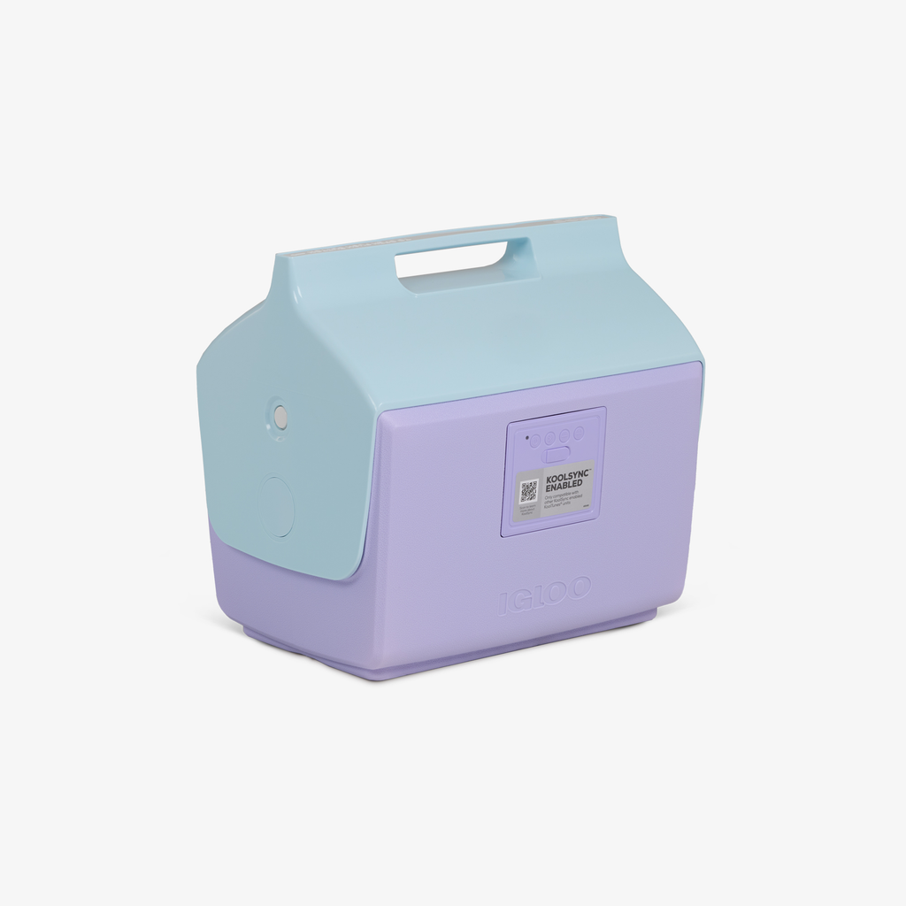 Igloo KoolTunes®