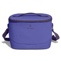 Hydro Flask Carryout™ Lunch Bag