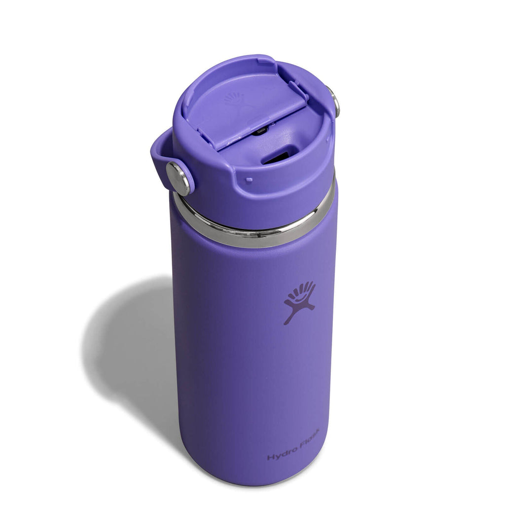 Hydro Flask 20 oz Flip Sip Travel Mug