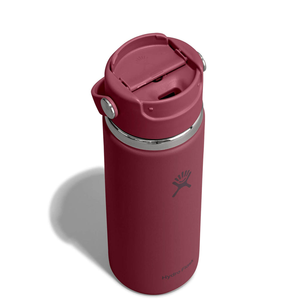 Hydro Flask 20 oz Flip Sip Travel Mug