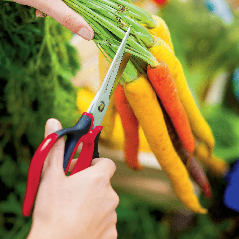 Tupper Ware Universal Series | Kitchen Shears