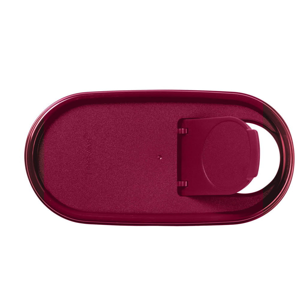 Tupper Ware Tupperware® Modular Mates® Oval | Pour-All Seal | Food Storage