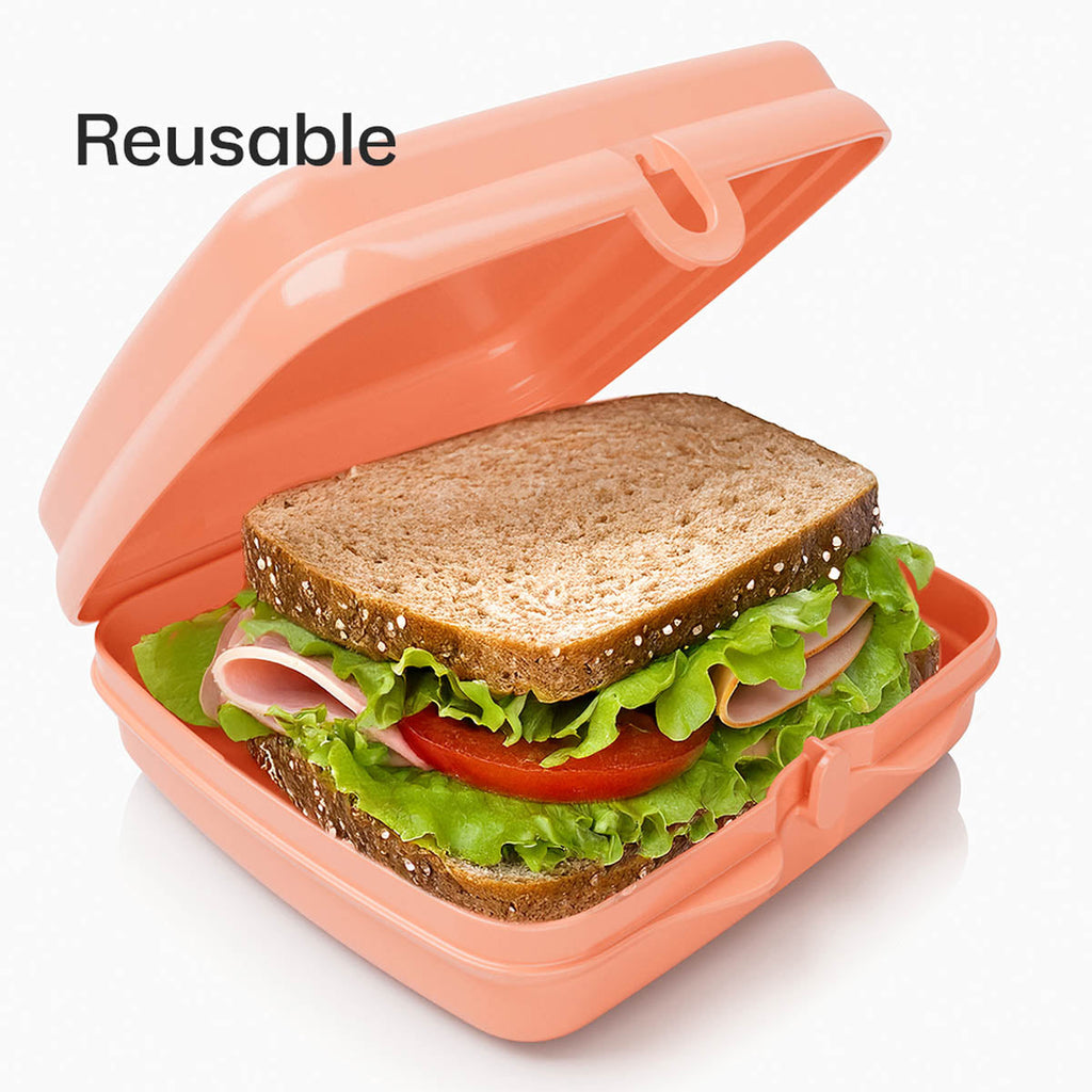 Tupper Ware Tupperware® Sandwich Keepers - 2 Easy-Open Lunch Boxes for Kids