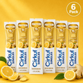 Cirkul Protein Lemon Ginger 6-Pack